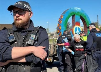 Peace campaigner Angie Zelter arrested at RAF Lakenheath