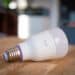Best Smart Home Devices in 2026 and Beyond