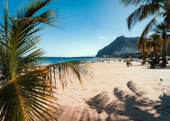 Playa de Las Teresitas beach in Tenerife with golden sand, palm trees, and mountains under a clear summer sky