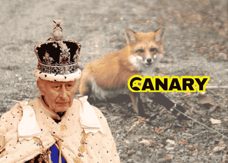 A picture of a fox with its paw stuck in a snare in the background. On the left in the front is the king in his weird finery. To the right is the Canary logo