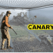A picture of a small cage with pheasants in it in the background. One of them is dead. In the foreground we have a hunter with a gun looking back at the camera. One the right hand side is the Canary logo