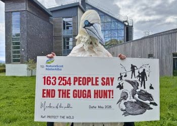 Rob Pownall, in gannet costume, holds a giant cheque representing a petition to NatureScot