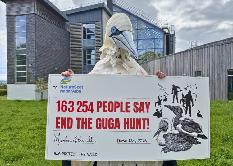 Rob Pownall, in gannet costume, holds a giant cheque representing a petition to NatureScot
