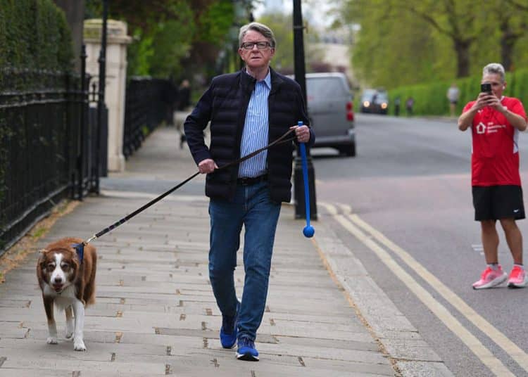 Mandelson