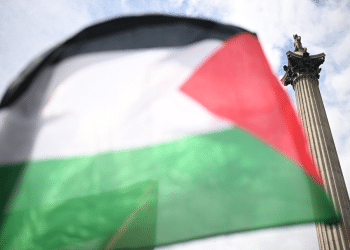 green party palestine