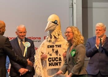 Rob Pownall in his giant gannet costume at Edinburgh Central count