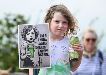 Save Lough Neagh