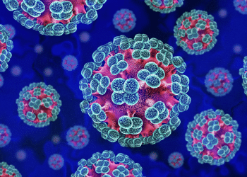 Hantavirus: Understanding the latest outbreak