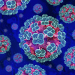 Hantavirus: Understanding the latest outbreak