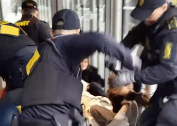 Maersk protest in Denmark met with police violence