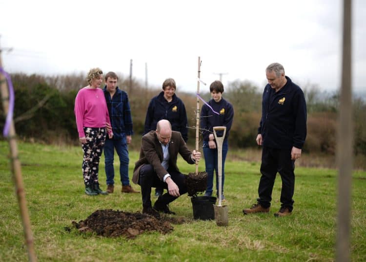 HELSTON, UNITED KINGDOM - MARCH 5: Prince William, Prince of Wales, known as the Duke of Cornwall when in Cornwall, plants a tree at an adjacent field during his visit to the Gear Farm Pasty Company, a family-run farm known for producing traditional Cornish pasties in St Martin, Helston, as he visits Cornwall for St Piran's Day on March 5, 2026 in Helston, England. (Photo by Aaron Chown-WPA Pool/Getty Images)