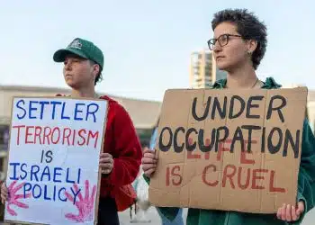 Amnesty