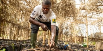 A cocoa farmer Illustrating Fairtrade Foundations research on support for climate action