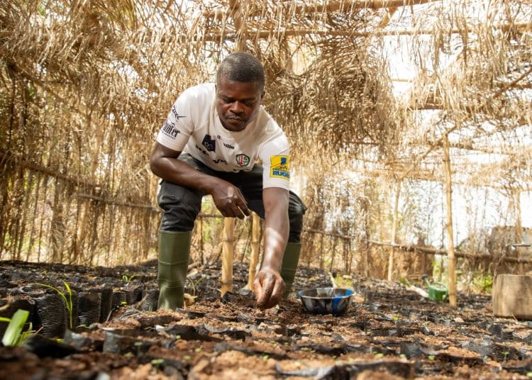 A cocoa farmer Illustrating Fairtrade Foundations research on support for climate action