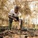 A cocoa farmer Illustrating Fairtrade Foundations research on support for climate action