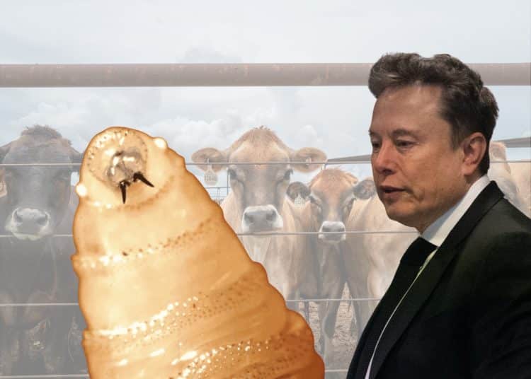 Elon Musk next to a giant screwworm