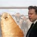 Elon Musk next to a giant screwworm