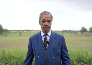 Nigel Farage in a field