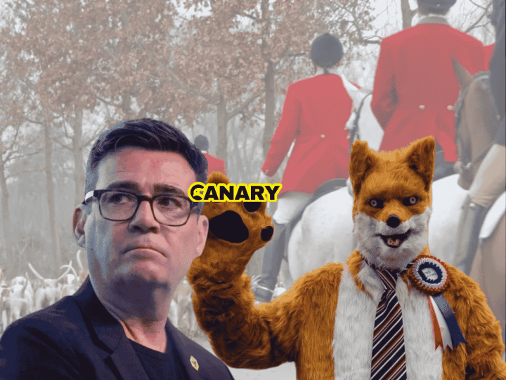 An image of the hunt and hounds in the background, wearing the traditional red coats. In the foreground on the left is Robert Pownall dressed as a fox. He is wearing a red, blue and white rosette and is waving at the camera. To the left of him is Andy Burnham looking perplexed. In the middle is the Canary UK logo