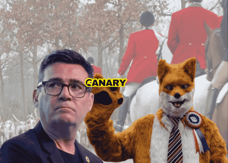An image of the hunt and hounds in the background, wearing the traditional red coats. In the foreground on the left is Robert Pownall dressed as a fox. He is wearing a red, blue and white rosette and is waving at the camera. To the left of him is Andy Burnham looking perplexed. In the middle is the Canary UK logo