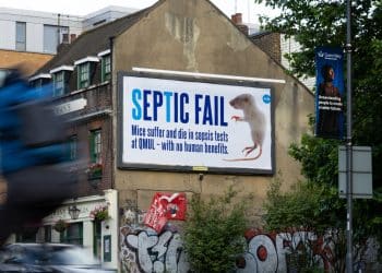 PETA billboard highlighting sepsis experiments on mice at QMUL