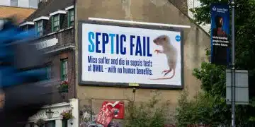 PETA billboard highlighting sepsis experiments on mice at QMUL