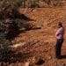 Ethnic cleansing