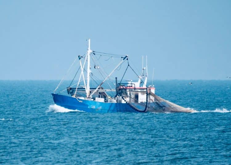 Fishing vessel at sea