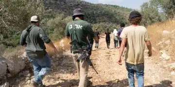 JNF