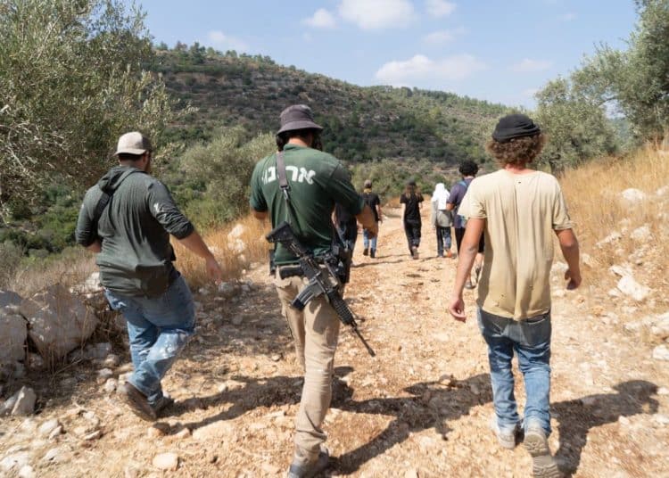 JNF