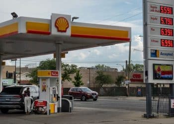 Oil