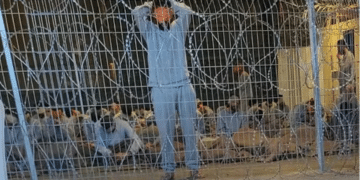 A leaked photograph of the Sde Teiman detention facility shows a blindfolded Palestinian man with his arms above his head behind a metal wire fence in 2024. Knesset politicians defeated a bill to ban visits from the Red Cross.