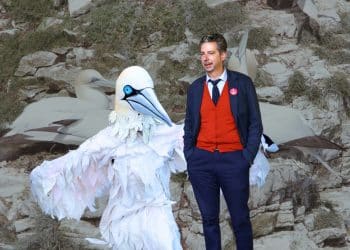 Composite image with gannets in background. In foreground, guga hunt protester Rob Pownall, in gannet costume, and Labour MP Torcuil Crichton