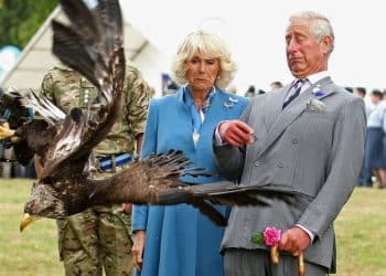 Royal Family