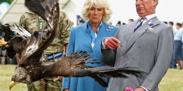 Royal Family