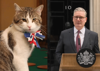 Larry the cat and Keir Starmer