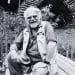 Bill Oddie