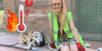 Hannah Spencer of the Green Party and a maxed out thermometer