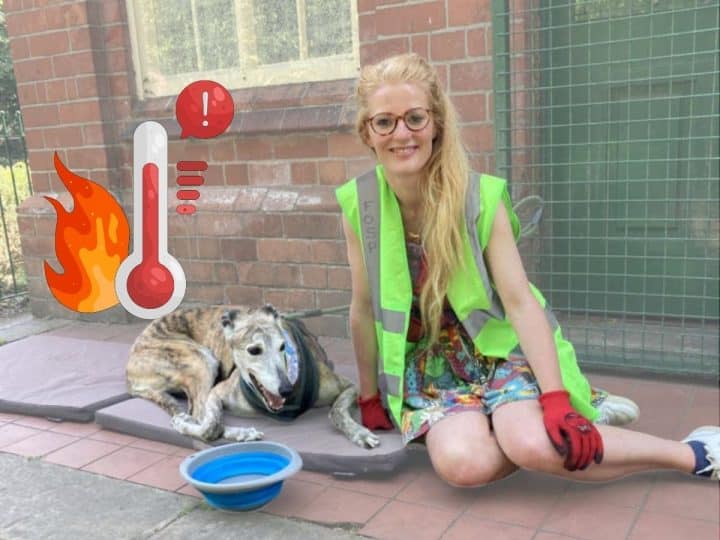 Hannah Spencer of the Green Party and a maxed out thermometer