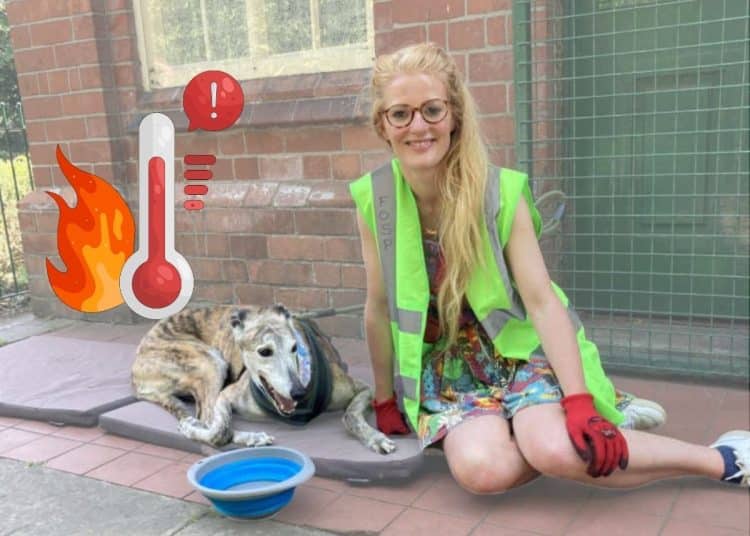 Hannah Spencer of the Green Party and a maxed out thermometer