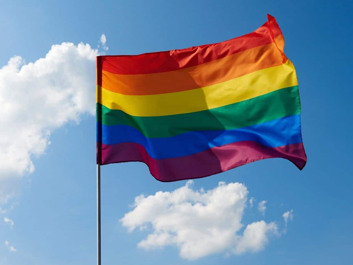 LGBTQ+ Pride flag, Labour