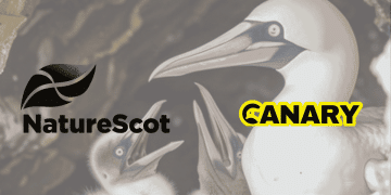 In the background is an image of a fully grown gannet and their two chicks on the left hand side. In the foreground on the left hand side is the logo for NatureScot in black. To the right of that is the Canary logo.