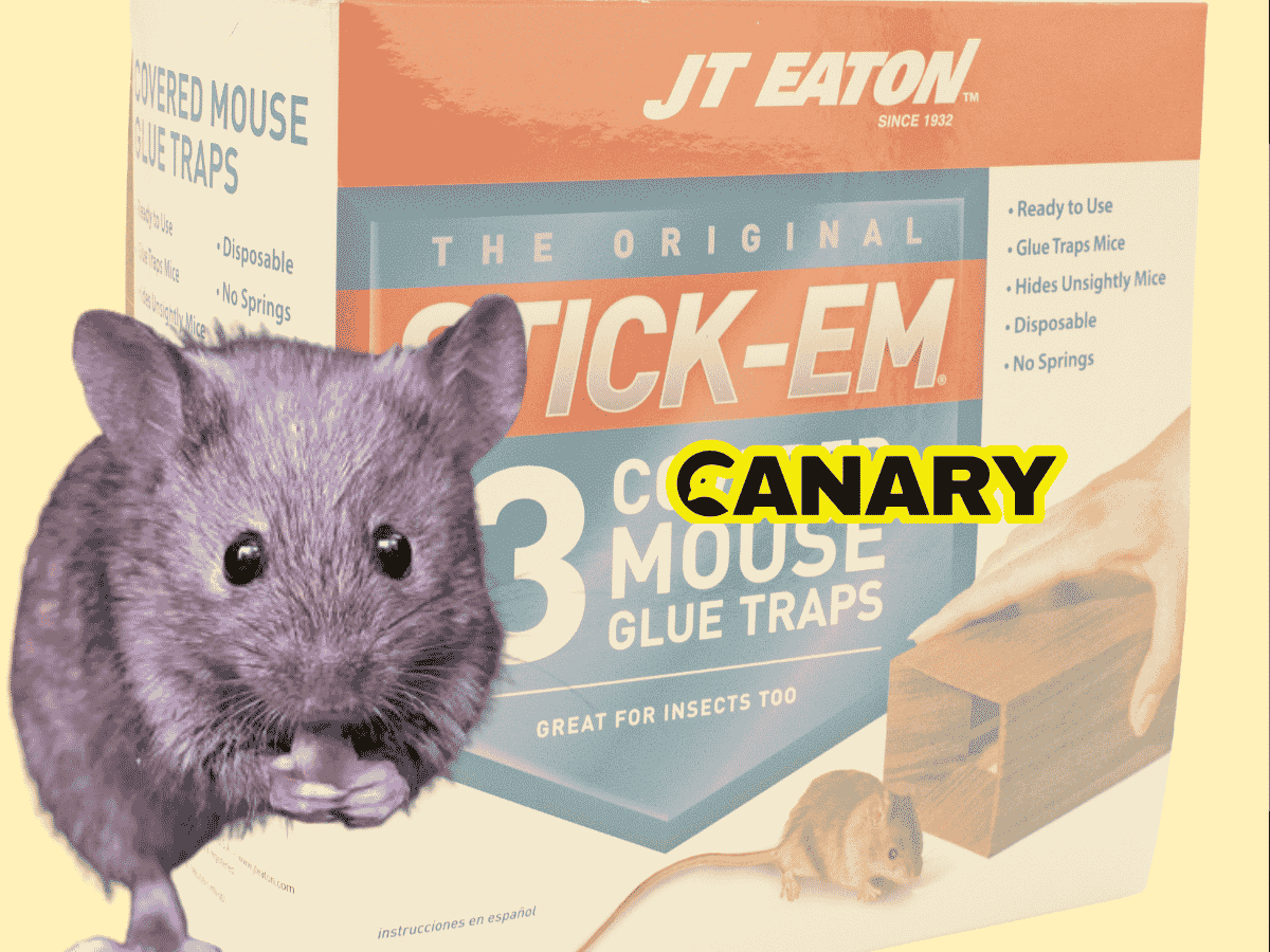 A picture of a pack of glue traps in the background called 'Stick'Em - 3 mouse glue traps'. In the foreground on the left is a cute mouse eating something. Next to it on the right is the Canary logo