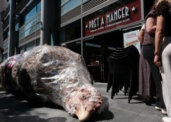A frankenchicken prop outside Pret in Spitalfields