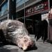 A frankenchicken prop outside Pret in Spitalfields