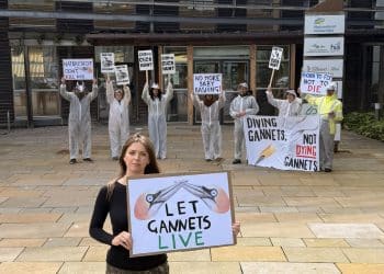 Guga hunt protest outside NatureScot HQ