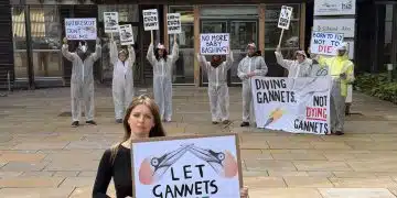 Guga hunt protest outside NatureScot HQ