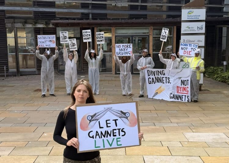 Guga hunt protest outside NatureScot HQ