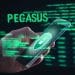 Pegasus