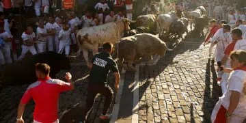 Revellers sprint next to bulls during the San Fermin festival in Pamplona, Spain. The festival is best known for the Running of the Bulls, where each morning runners sprint alongside six fighting bulls over an 875-meter (0.54-mile) course to the bull ring.